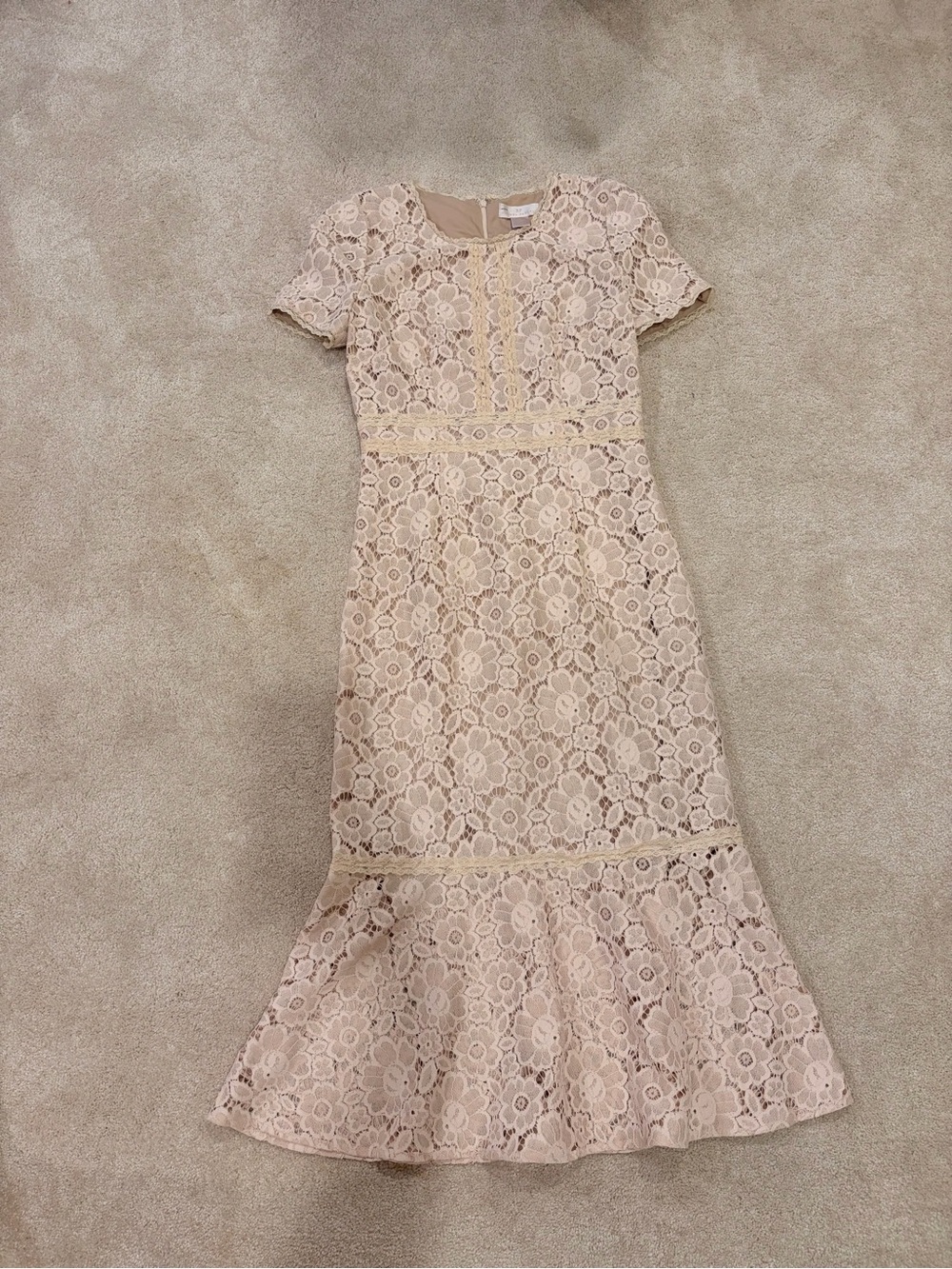 Rachel Parcell Blush Lace Midi Dress - Picture 3 of 5